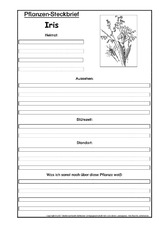 Pflanzensteckbrief-Iris-SW.pdf